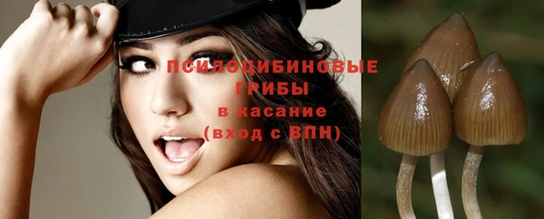 MDMA Premium VHQ Бронницы