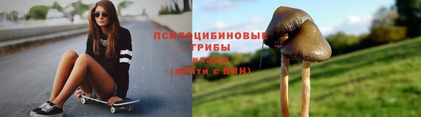 ALPHA PVP Бородино
