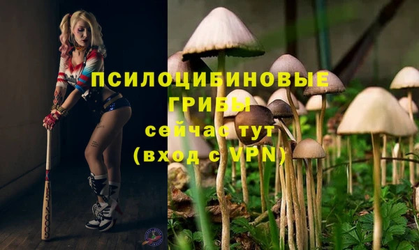 амфетамин Богданович