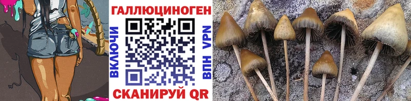 Псилоцибиновые грибы GOLDEN TEACHER  продажа наркотиков  darknet телеграм  Южноуральск  KRAKEN ТОР 